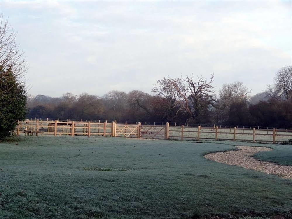 Huxham Farmhouse Bed and Breakfast East Pennard Esterno foto